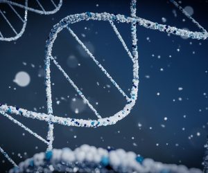 Science Behind Longevity by NOVOS