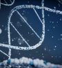 Science Behind Longevity by NOVOS